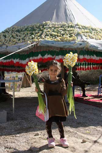جشنواره گل نرگس