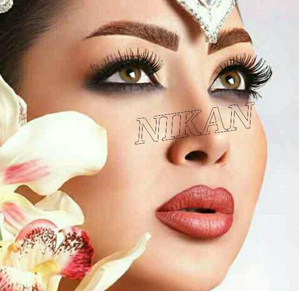 آکادمی نیکان