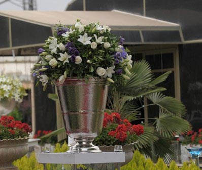 خدمات و تشریفات عرشیا